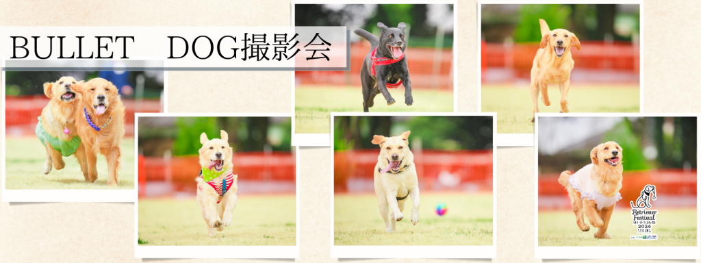 BULLET DOG撮影会