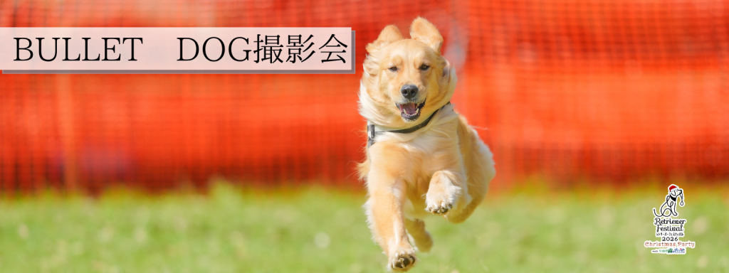 BULLET DOG撮影会