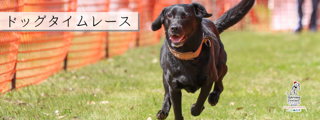 ドッグタイムレース