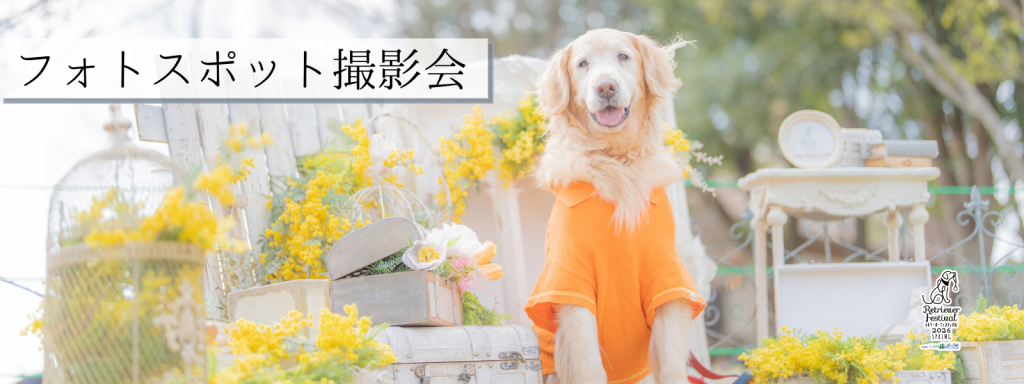 フォトスポット撮影会
