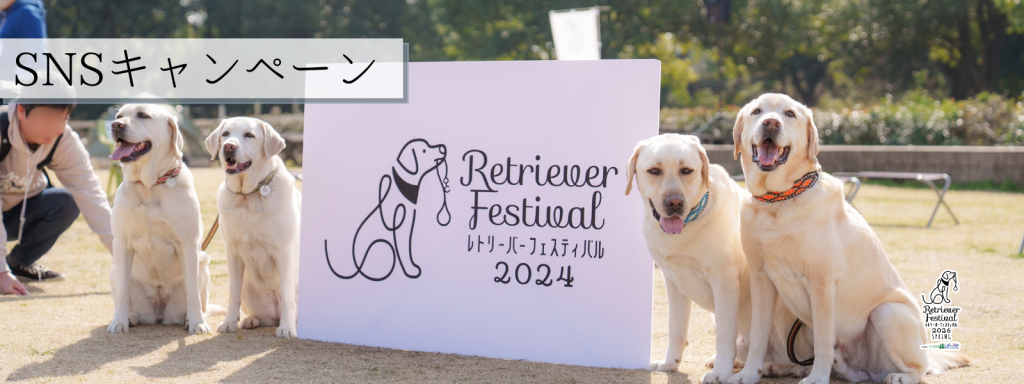 SNSキャンペーン