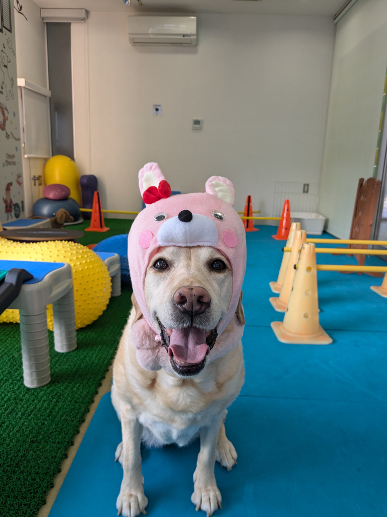 マーブルちゃん