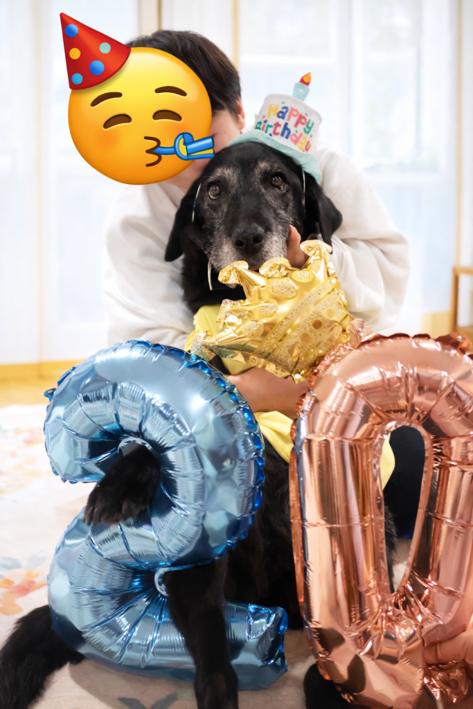 アイヴィーちゃん