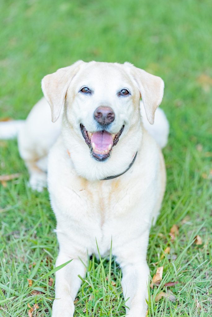 もんじろうくん