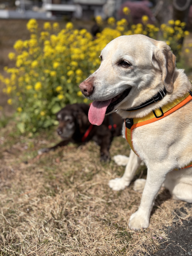 イーヨーちゃん