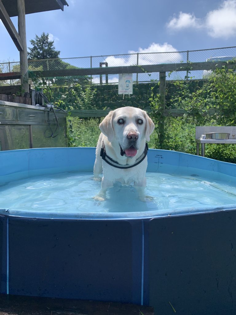 たまごボーロくん