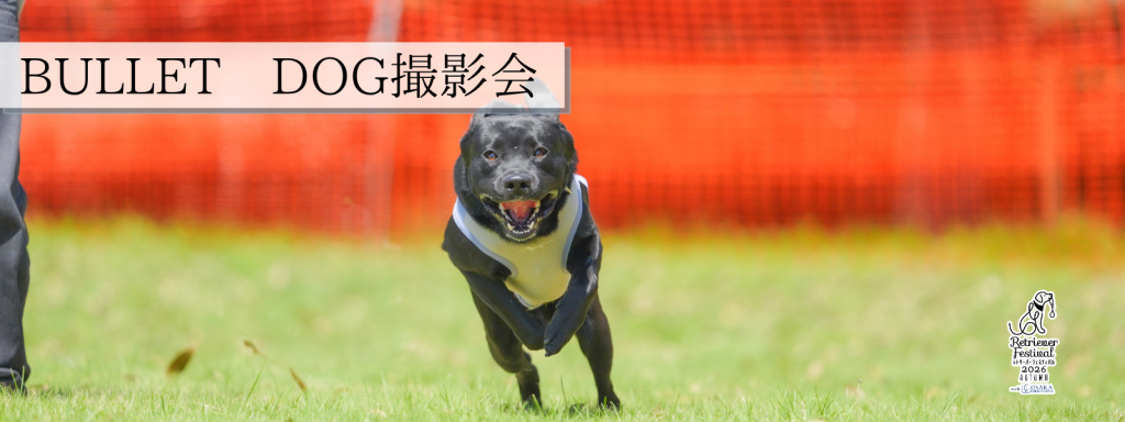 BULLET DOG撮影会@大阪北港マリーナ