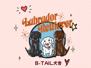B-TAIL犬舎