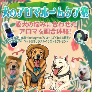 Dog Aroma